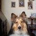 Carrol Cheney - Facebook