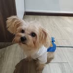 Carol Chew - @carol.chew.52 - Instagram