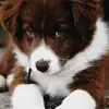 Carol Chew - @carol.chew - TikTok