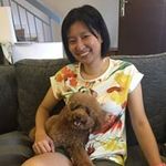 Carol Chew - @carol.chew.982 - Instagram