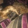 carolcheyne249 - @carolcheyne249 - TikTok