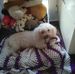 Carol Chick - Facebook