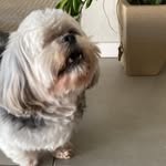 @carolchick267 - Instagram