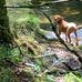 Carol Chilton - Facebook