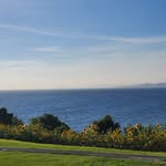 Carol Ching - @chinglaiyu - Instagram