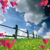 Carol Ching - @carol.ching5 - TikTok