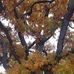 Carol Christopherson - Facebook