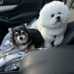Carol Chubb - @chubcaroed - Instagram