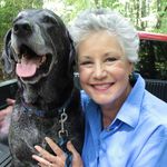 Carol Clay - @carolclayart - Instagram