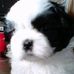 Carol Coe - Facebook