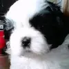 Carol Coe - @carol.coe2 - TikTok