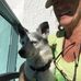 Carol Collier - Facebook