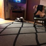 Carol Comstock - @comstock.carol56 - Instagram