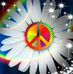 Carol Comstock - Facebook