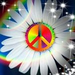 Carol Comstock - @carol.comstock.12 - Instagram