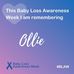 Carol Conners - Facebook