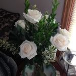 Carol Conrad - @carolconrad5251 - Instagram