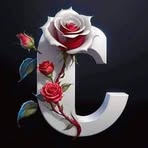 Carol Cooley - Facebook