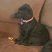 Carol Coombs - Facebook
