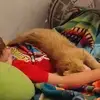 Carol Coombs - @carol.coombs - TikTok
