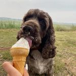Carol Coombs - @carolcoombs1 - Instagram
