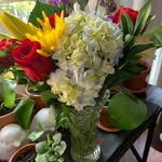 Carol Coombs - @ccoombs316 - Instagram