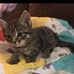 Carol Coombs - Facebook