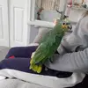 Carol Coombs-wasneale - @carolcoombs1951 - TikTok