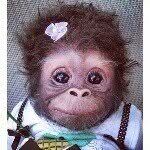 Carol Cornell - @carolcornell5 - Instagram