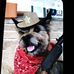 Carol Cornett - Facebook