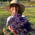 Carol Cornett - @carollynn_cornett - Instagram