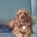 Carolyn Cornett - Facebook