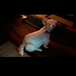 Denise Carol Cornett - @denisecarolcornett - Instagram