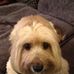 Carol Cornish - Facebook