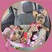 Carol Cornish - Facebook