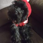 Carol Covert - @carol.covert.10 - Instagram