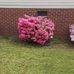 Carol Covert - Facebook