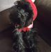Carol Covert - Facebook