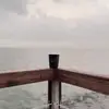 CarolCOZZI - @cozzi.carol3357 - TikTok