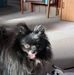 Carol Creger - Facebook