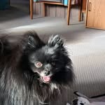 Carol Creger - @cregercarol - Instagram