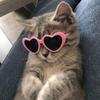 Carol 💝 - @carol_cribb - TikTok