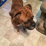 Carol Cribb - Facebook