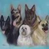 Carol Crichton755 - @carolcrichton755 - TikTok