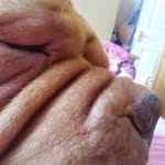 Carol Cross - @carolcrossvinnie - Instagram