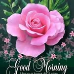 Carol Cross - @carol.cross.737 - Instagram