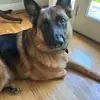 Carol Cross - @carol.cross68 - TikTok