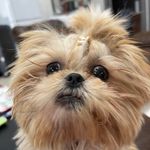Carol Canfield Cude - @csccude - Instagram