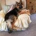 Carol Cutting - Facebook