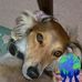 Carol Cutting - Facebook